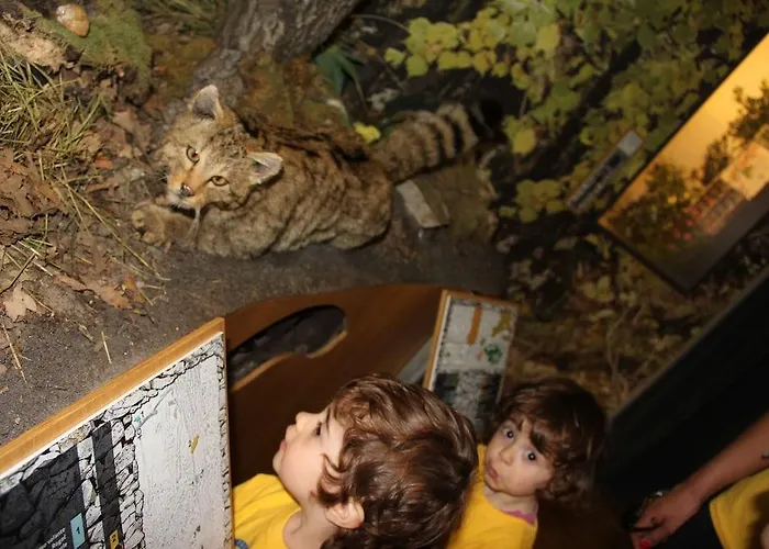 Italia Hotel Trieste