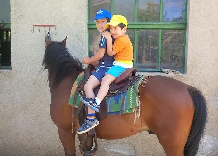 Italia Hotel Trieste